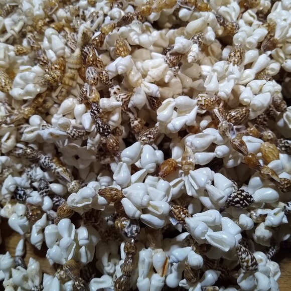 Lot Of Over 25 Shell Necklaces - Picture 1 of 8